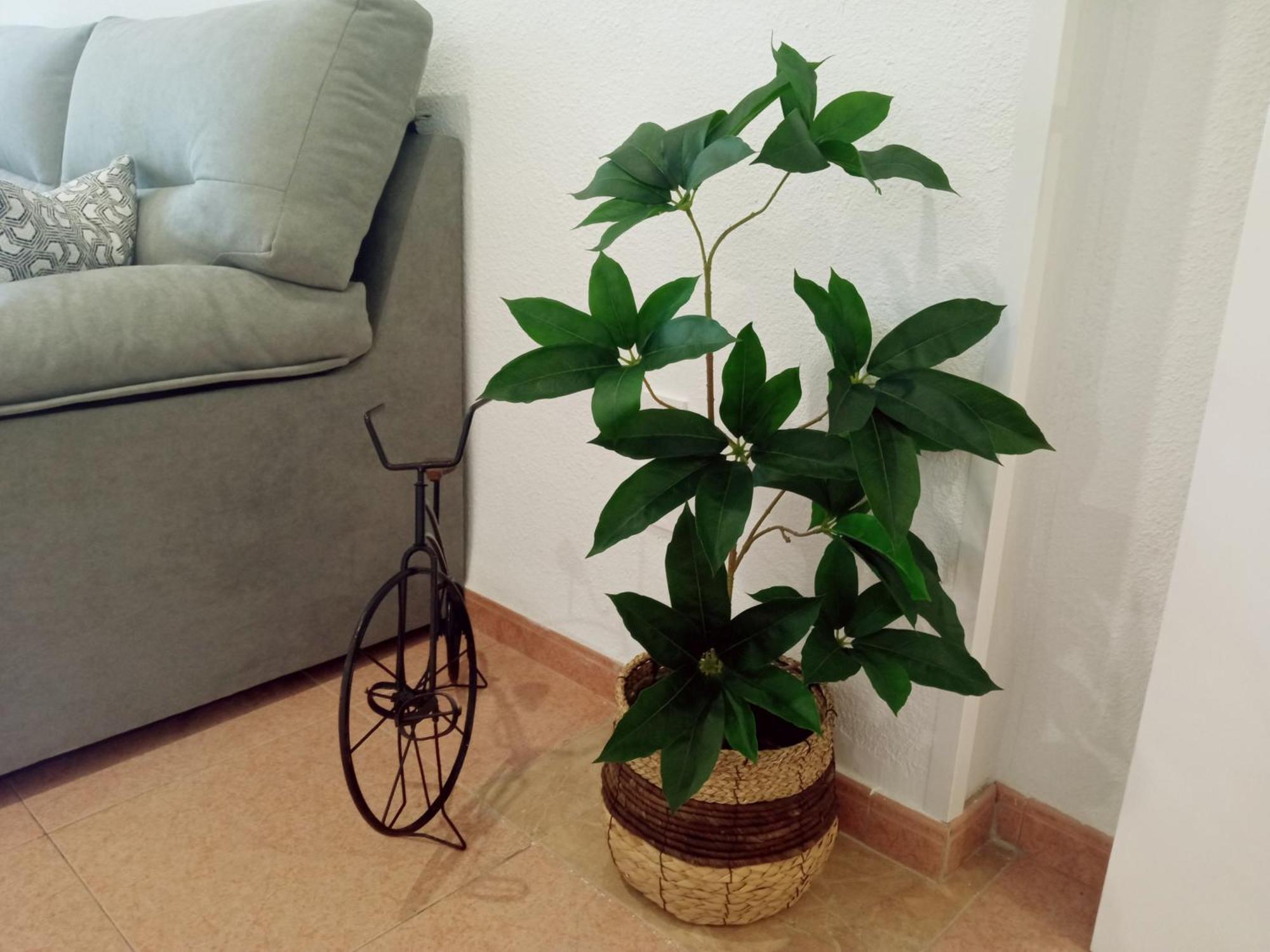 Apartamento Los Jardines De La Magdalena Cordova Esterno foto